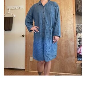 Orvis Denim Shirt Dress in Light Blue